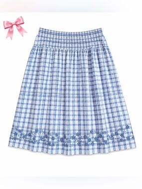 Free Assembly Blue Plaid Embroidered Midi Skirt – XL – NWT